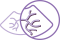 Échographe V8 Gynécologie Obstétrique