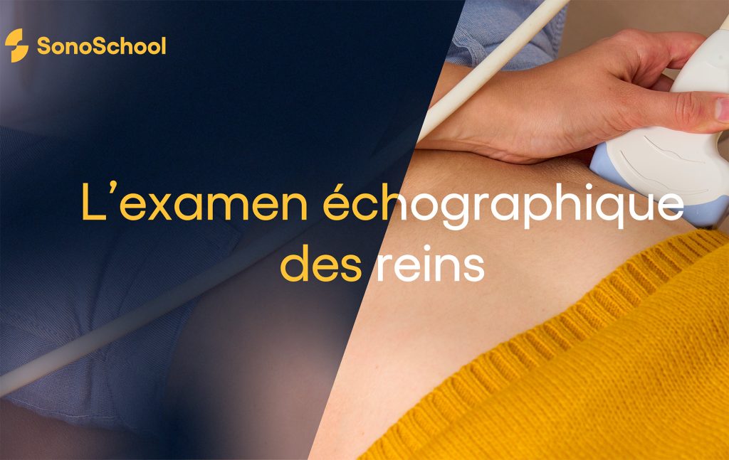 examen échographique des reins formation en ligne sonoschool isonic