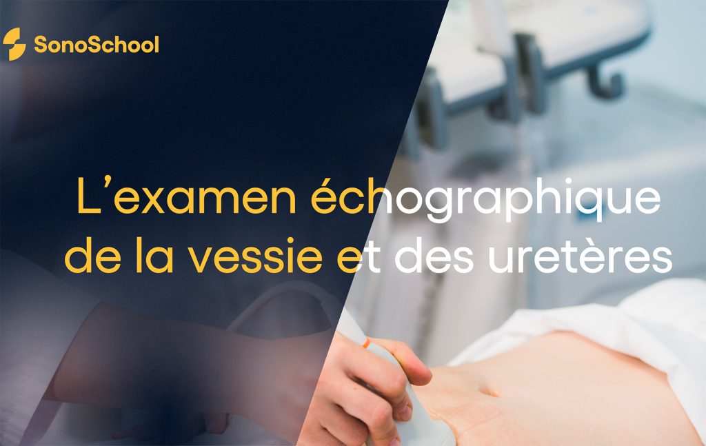échographie de la vessie formation en ligne sonoschool