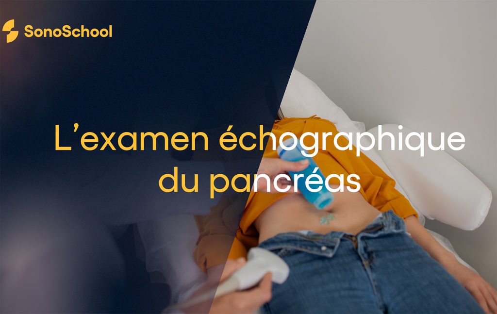 l'examen échographique du pancréas formation en ligne sonoschool isonic