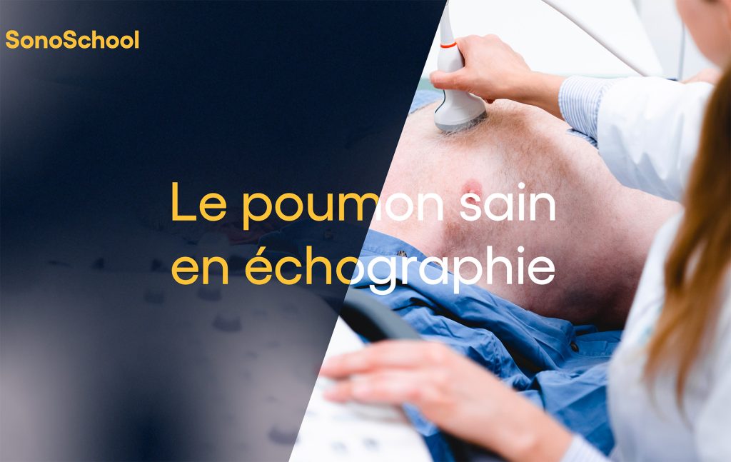 formation échographie pulmonaire poumon sain sonoschool