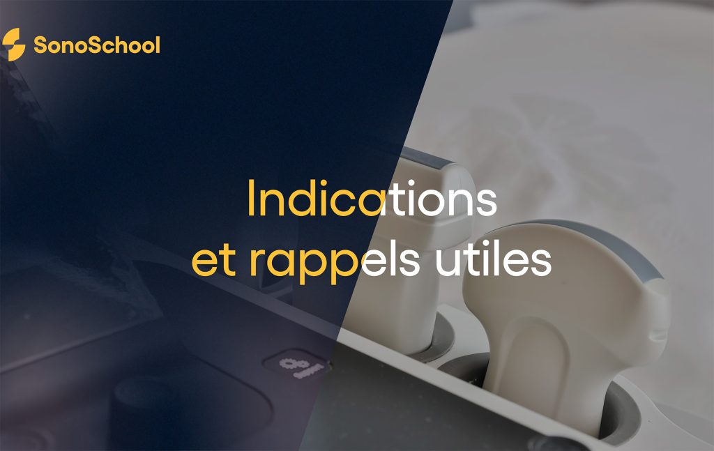 indications échographie reins rate vessie formation en ligne sonoschool
