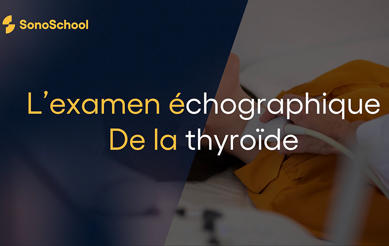 formation echographie de la thyroide examen echographique de la thyroide