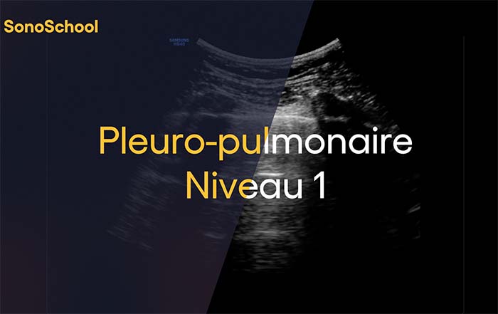 formation_echographie_pulmonaire_sonoschool