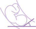 icon_LaborAssist_echographe_samsung_v6_gynecologie_obstetrique