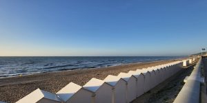 atelier_echographie_osteo_articulaire_sonoschool_cabourg_juin_2024
