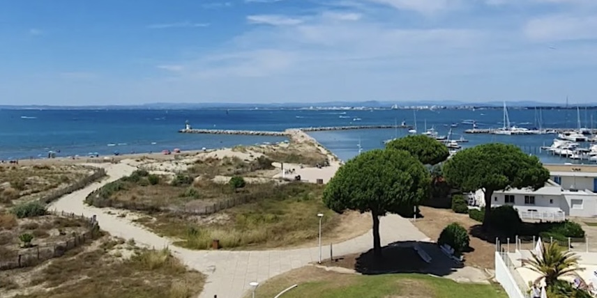 atelier_echographie_osteo_articulaire_camargue_2024