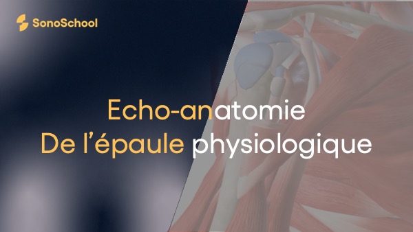 echo_anatomie_epaule_sonoschool_echographie